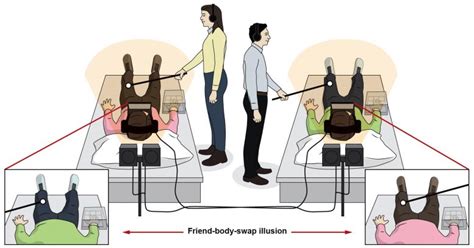 Unveiling the Psychological Factors Driving the Desire for Body Swapping