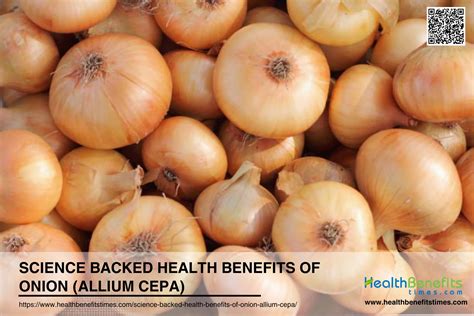 Unveiling the Remarkable Health Advantages of Allium cepa