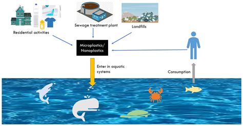 Unveiling the Restorative Potential of Aquatic Elements