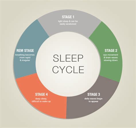 Unveiling the Science: Understanding the Mechanisms of Demise during Sleep