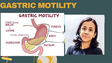 Unveiling the Science behind Gastric Motility during Dreaming