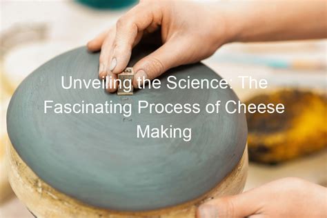 Unveiling the Secrets of Cheese-Making Techniques: From Farm to Table