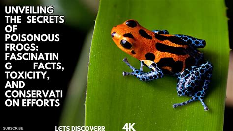 Unveiling the Secrets of Poison Frogs' Toxicity