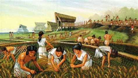 Unveiling the Significance of Corn Reveries in Ancient Farming Communities