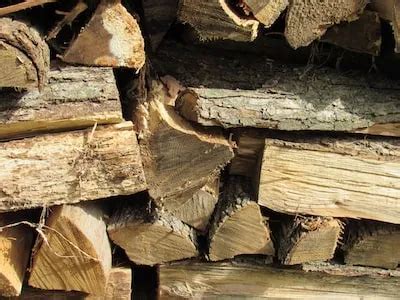 Unveiling the Significance of Dreaming about Timber Logs