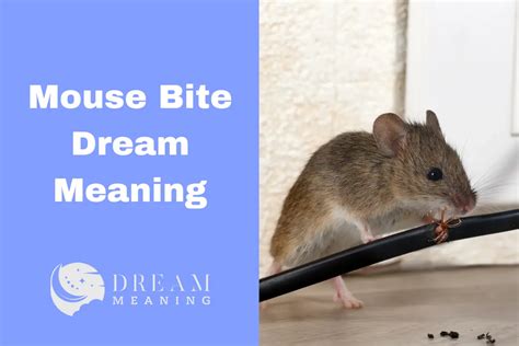 Unveiling the Significance of Dreams Regarding Mouse Bites on the Hand