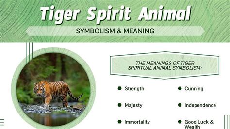 Unveiling the Significance of Imagining a Tiger Aggression: Cultural and Spiritual Explorations