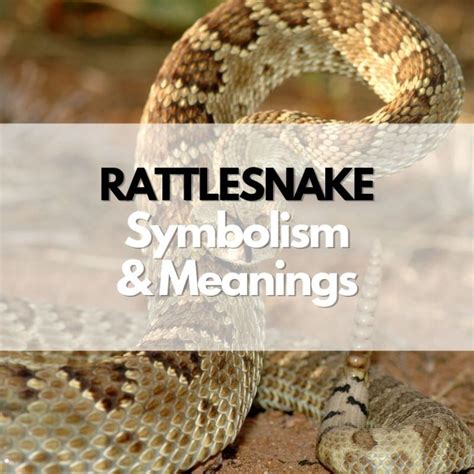 Unveiling the Significance of Rattlesnakes: Deciphering the Reptile's Symbolic Meaning