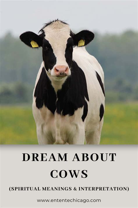 Unveiling the Spiritual Interpretations of Dreaming About Cows