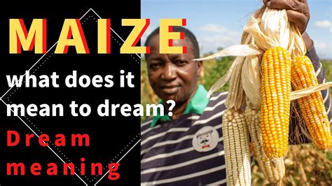 Unveiling the Spiritual Significance of Crimson Maize in the Interpretation of Dreams