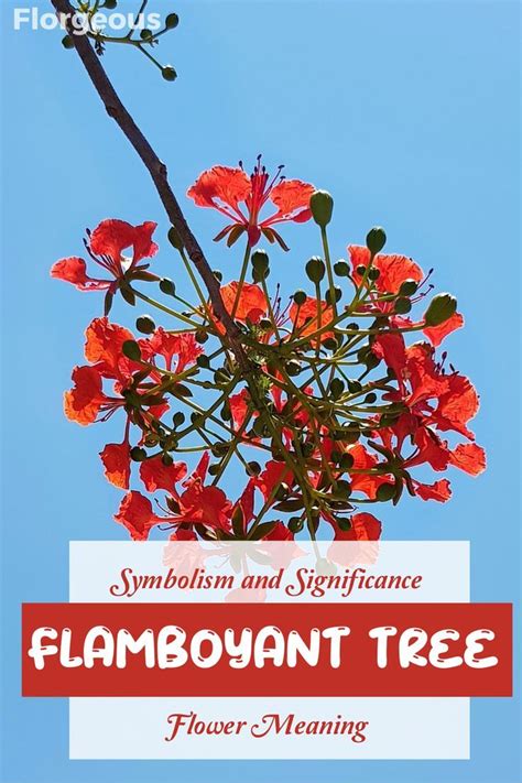 Unveiling the Spiritual Significance of Lively Flowering Trees