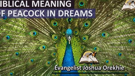 Unveiling the Spiritual Significance of Peacock Aggressions in Dreams