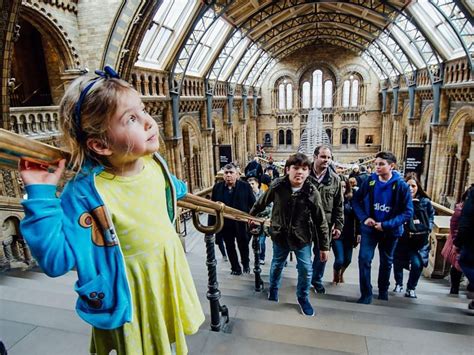 Unveiling the Splendor of Natural History Museums: A Journey into the Marvels of Earth's Treasures