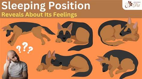 Unveiling the Symbolic Meaning behind Canine Sleep Fantasies