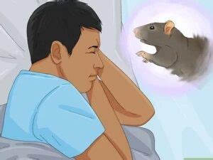 Unveiling the Symbolic Significance of Rats in the Realm of Dreams