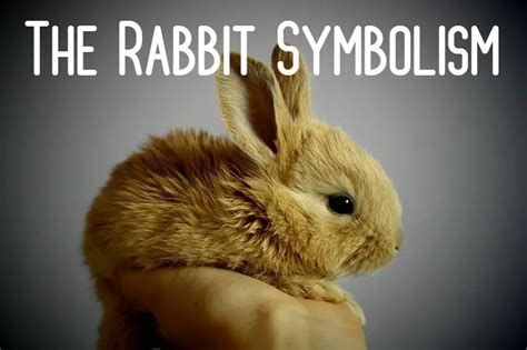 Unveiling the Symbolic Significance of the Rabbit as a Representation of Abundance