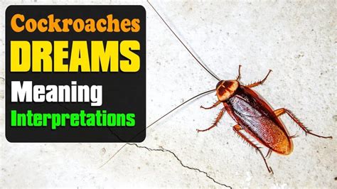 Unveiling the Symbolism: Decoding the Meanings Behind Roaches in Dreams