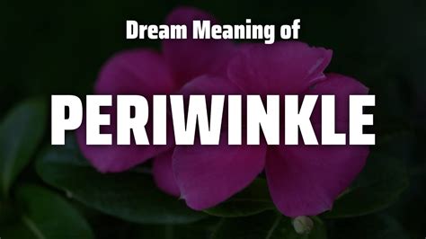 Unveiling the Symbolism: The Importance of Periwinkle in Dreams