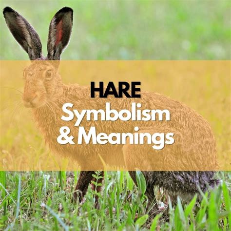 Unveiling the Symbolism of the Pale Hare