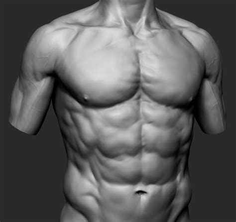 Unveiling the Unconscious Desires: The Significance of Envisioning a Muscular Male Torso