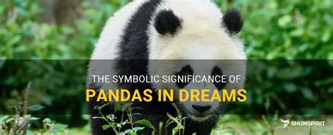 Unveiling the cultural significance of pandas in the realm of dream analysis