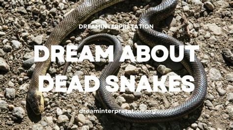 Unveiling the psychological analysis of dreams featuring deceased snakes