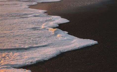 Unwinding on Pristine Beaches