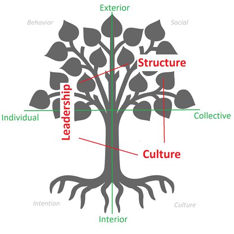 Using Tree Metaphors to Guide our Pursuit of Aspirations