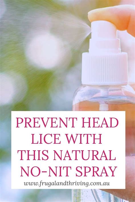 Using aromatic oils for the treatment and prevention of head lice outbreaks