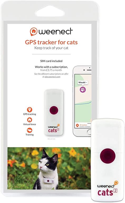 Utilizing technology: GPS trackers for felines