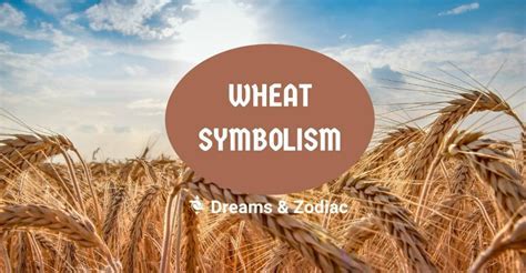 Variations and Interpretations of Wheat Dreams