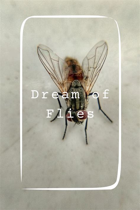 Various Significances Linked to Dreaming of Flies