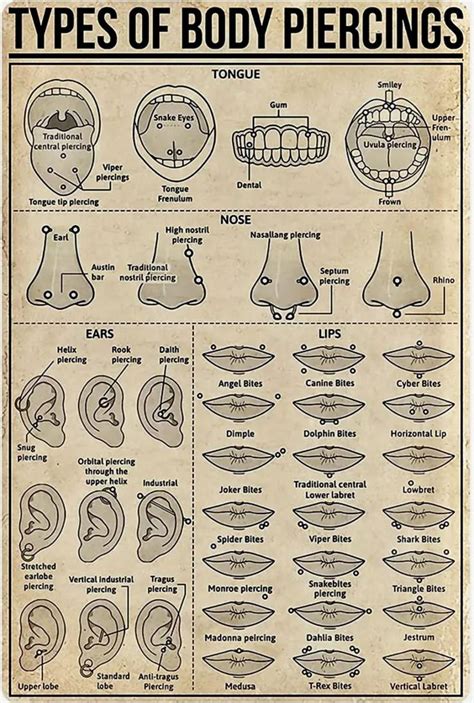 Various Types of Body Piercings and Their Symbolism