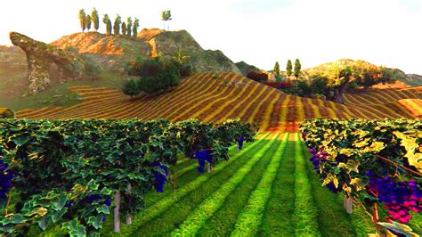 Vineyard Visions: Animated Images that Bring Rolling Hills to Life