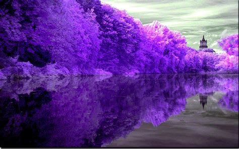 Violet Color in Nature