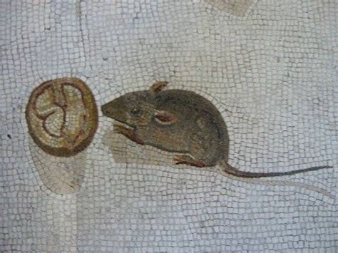 Visions from the Past: Discoveries Made from an Ancient Mouse