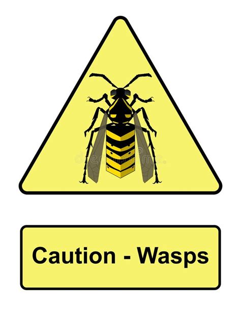 Wasp Dreams: A Warning of Peril or Guardian of Safety?