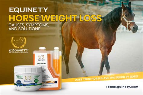 Water: The Forgotten Hero in Equine Weight Loss