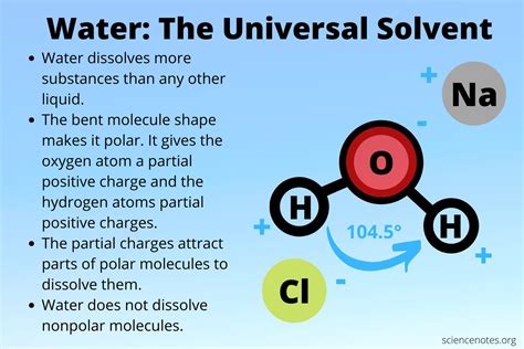 Water as a Universal Symbol: Analyzing the Connection Between Dreams, Passports, and Water