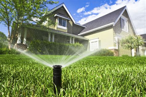 Watering 101: Effective Techniques for Proper Irrigation to Achieve a Lush and Healthy Lawn