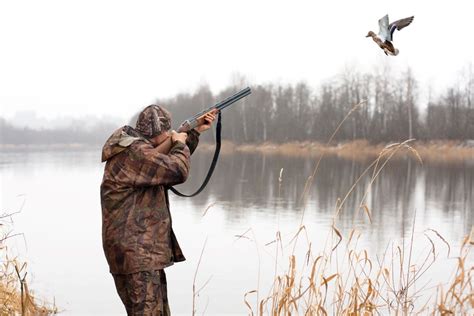 Weather Factors to Consider: Optimal Conditions for a Successful Duck Hunt