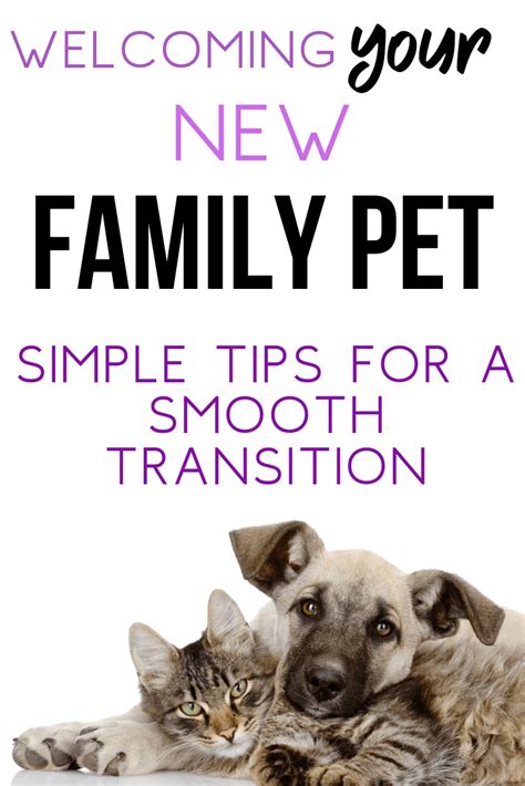 Welcoming Your New Pal: Suggestions for a Smooth Transition