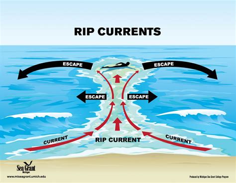 What is a Rip Current?