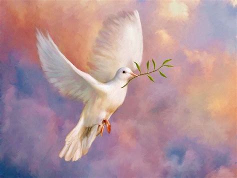 White Doves in Art and Literature