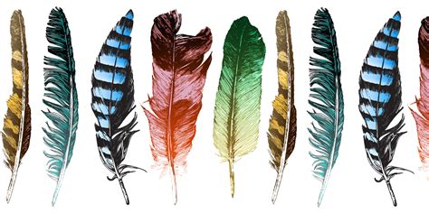 White Feathers in Different Cultures