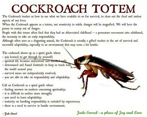 White Roach as a Messenger: Mystical Significance in Native American Beliefs