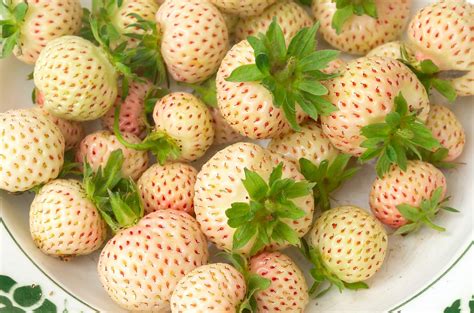 White Strawberries in Cuisine: