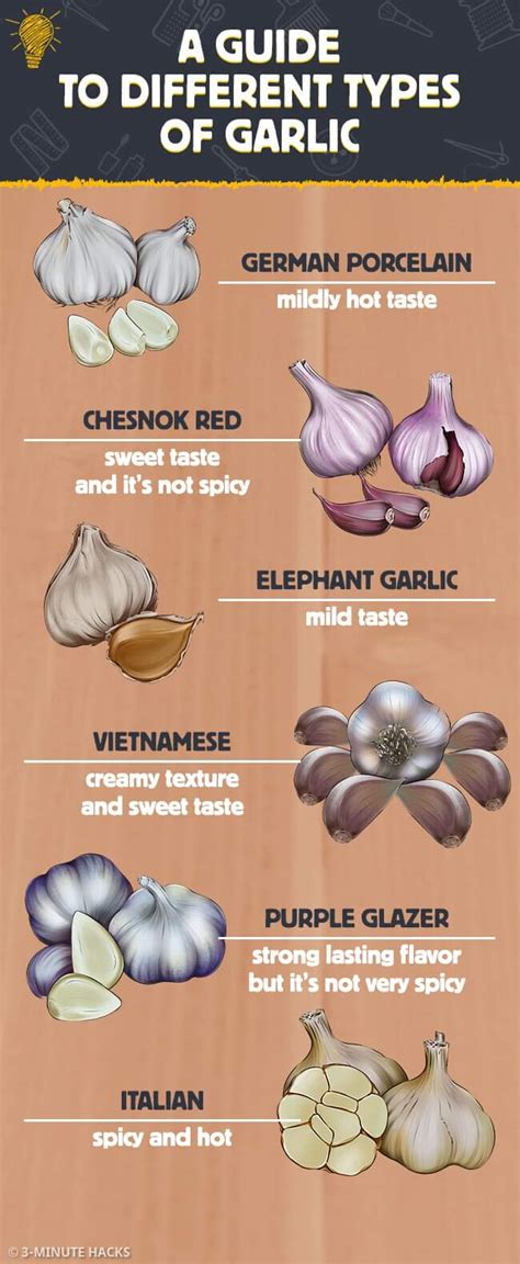 Whiter than Snow: Exploring the Different Varieties of Pale Garlic