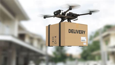 Who Will Benefit? Exploring Potential Applications for Aerial Delivery Vehicles