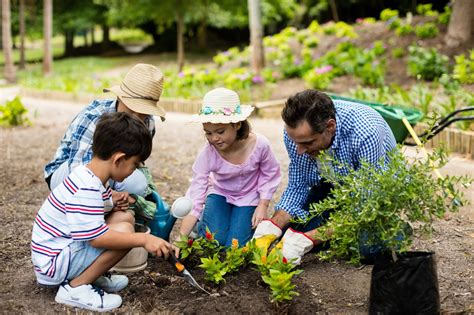 Why Gardening Can Bring Fulfillment to People of All Ages